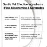 Anua Rice 7 Ceramide Hydrating Barrier Serum, 50ml - Image 3
