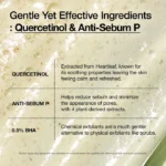 Anua Double Cleansing Duo – Blackhead & Pore Control Set - Image 6