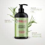 Mielle Rosemary Mint Strengthening Shampoo, 355ml - Image 3