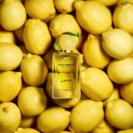 Dolce&Gabbana Fruit Collection Lemon - Image 2