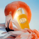 Sospiro, Prima Donna - Image 2