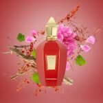 Xerjoff, Wardasina - Image 2