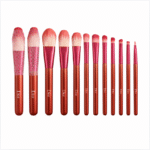 Dior Dark Rose Pink Luxury Makeup Brush Set