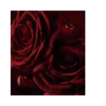 Christian Louboutin
Fétiche La Rose Eau de Parfum (80ml) - Image 5